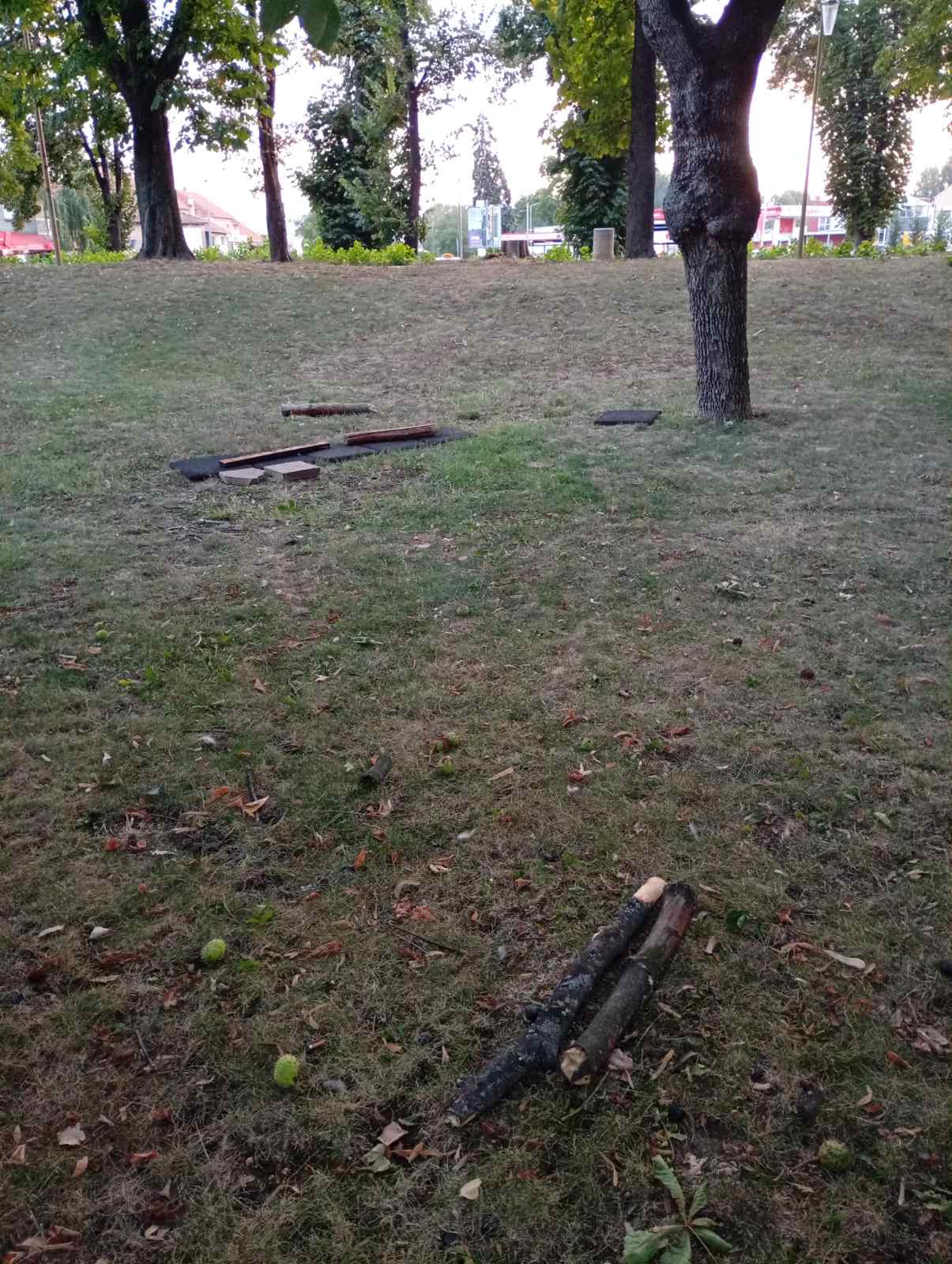 eko problem